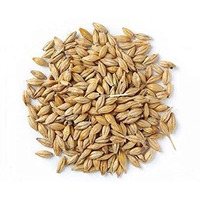 Classic Barley (Jav) Whole 4 oz (100g) ~ All Natural | Vegan | NON-GMO | Indian Origin