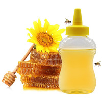Florida Buzz 100 % Pure Honey w/ Nozzle 16 Oz