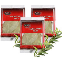 Eucalyptus (3 PACKS)