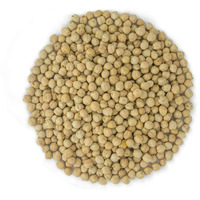 Sukhianna Organic Chick Peas (Kabuli Chana) 2lbs