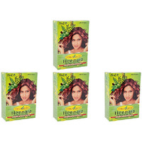 Pack of 4 - Hesh Herbal Heenara Herbal Hair Pack - 100 Gm (3.5 Oz)