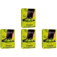 Pack of 4 - Hesh Herbal Amla Powder - 100 Gm (3.5 Oz)