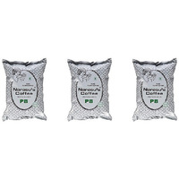 Pack of 3 - Narasu's Filter Coffee Peaberry Premium Blend - 500 Gm (1.1 Lb)