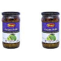 Pack of 2 - Shan Punjabi Mango,Berry & Garlic Pickle - 300 Gm (10.58 Oz)