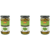 Pack of 3 - Shan Chilli Pickle - 300 Gm (10.58 Oz)