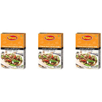 Pack of 3 - Shan Chinese Beef Chicken Chilli Spice Mix - 50 Gm (1.7 Oz)