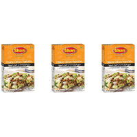 Pack of 3 - Shan Chinese Chicken Vegetables Masala - 40 Gm (1.4 Oz)