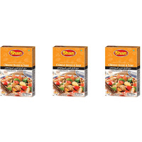 Pack of 3 - Shan Chinese Sweet & Sour Masala - 50 Gm (1.7 Oz)