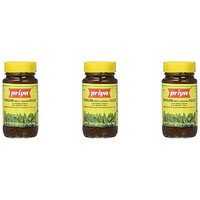 Pack of 3 - Priya Gongura Pickle No Garlic - 300 Gm (10 Oz)