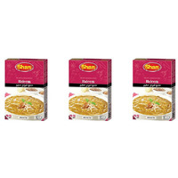 Pack of 3 - Shan Haleem Masala - 50 Gm (1.76 Oz)
