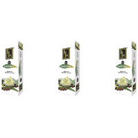 Pack of 3 - Zed Black Eucalyptus Premium Agarbatti Incense Sticks - 120 Pc