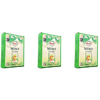 Pack of 3 - Ayur Herbals Mint Face Pack - 100 Gm (3.5 Oz) [50% Off]