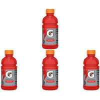 Pack of 4 - Gatorade Fruit Punch Drink - 12 Fl Oz (355 Ml)