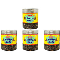 Pack of 4 - Chandan Berry Amla Mouth Freshener - 150 Gm (5.2 Oz) [50% Off]