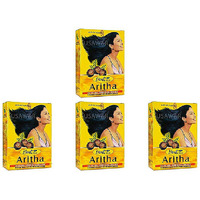 Pack of 4 - Hesh Aritha Powder - 100 Gm (3.5 Oz)