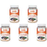 Pack of 5 - Vedic Jamun Seed Powder - 100 Gm (3.52 Oz)
