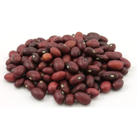 HEALTHY FOODS RED BEANS SMALL 2LB