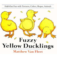 Fuzzy Yellow Ducklings [Novelty book]