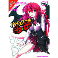 High School DxD, Vol. 1 [Paperback]