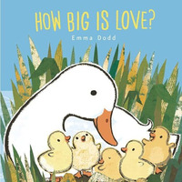 How Big Is Love? [Board book]