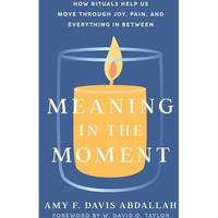 Meaning In The Moment                    [TRADE PAPER         ]