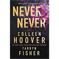 Never Never: A twisty, angsty romance [Paperback]