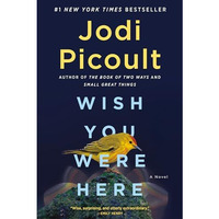 Wish You Were Here: A Novel [Paperback]