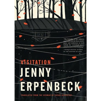 Visitation [Paperback]