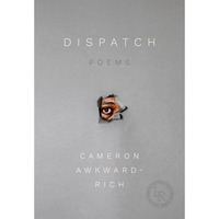 Dispatch: Poems [Paperback]