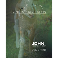 Genesis To Revelation: John Participant Book [large Print]: A Comprehensive Vers [Paperback]