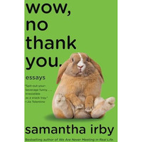 Wow, No Thank You.: Essays (Lambda Literary Award) [Paperback]