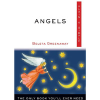 Angels, Plain & Simple: The Only Book You'll Ever Need [Paperback]