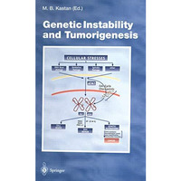 Genetic Instability and Tumorigenesis [Paperback]