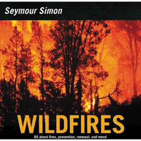 Wildfires [Paperback]