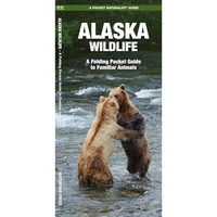 Alaska Wildlife: A Folding Pocket Guide to Familiar Animals [Pamphlet]