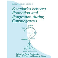 Boundaries between Promotion and Progression during Carcinogenesis [Paperback]