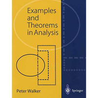 Examples and Theorems in Analysis [Paperback]