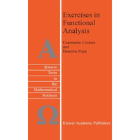 Exercises in Functional Analysis [Paperback]