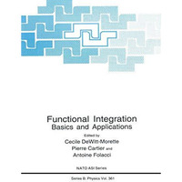 Functional Integration: Basics and Applications [Paperback]