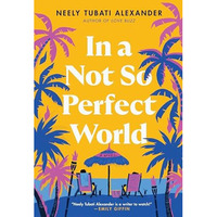 In a Not So Perfect World: A Novel [Paperback]