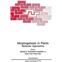 Morphogenesis in Plants: Molecular Approaches [Paperback]