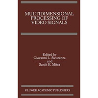 Multidimensional Processing of Video Signals [Hardcover]