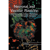 Neuronal and Vascular Plasticity: Elucidating Basic Cellular Mechanisms for Futu [Hardcover]