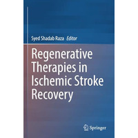 Regenerative Therapies in Ischemic Stroke Recovery [Paperback]