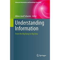 Understanding Information: From the Big Bang to Big Data [Hardcover]