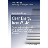 Clean Energy from Waste: Fundamental Investigations on Ashes and Tar Behaviours  [Hardcover]