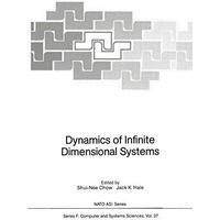 Dynamics of Infinite Dimensional Systems [Paperback]