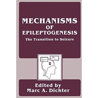 Mechanisms of Epileptogenesis: The Transition to Seizure [Paperback]