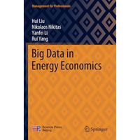 Big Data in Energy Economics [Paperback]