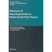 Measures of Noncompactness in Metric Fixed Point Theory [Paperback]